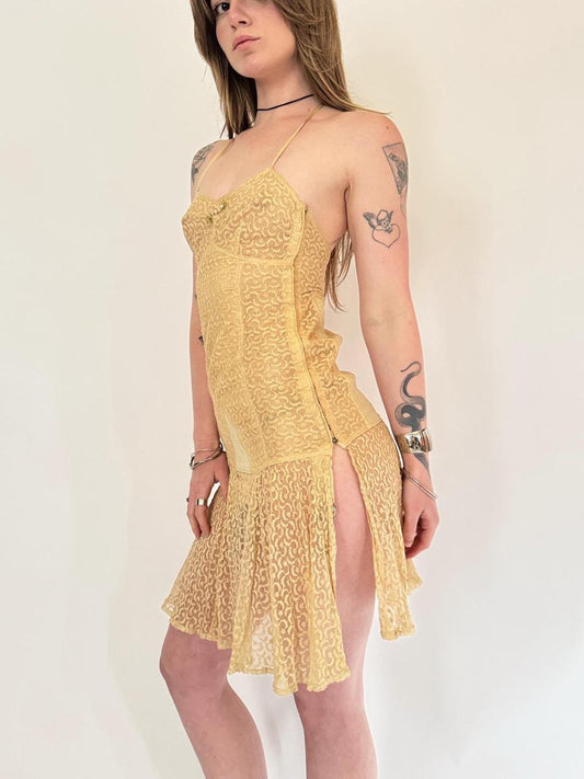 vintage corset lace fairy dress